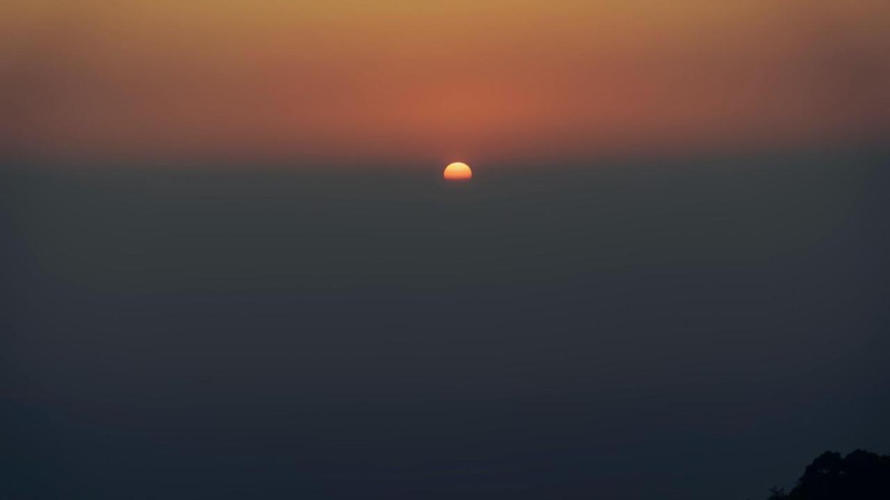 Panormic View By The North Edge Daire Kasauli Dış mekan fotoğraf