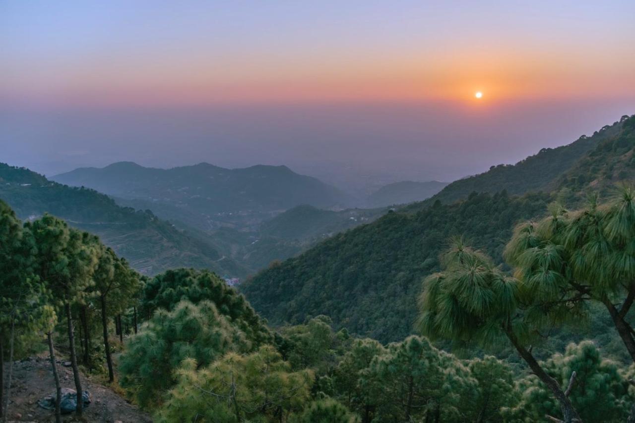 Panormic View By The North Edge Daire Kasauli Dış mekan fotoğraf